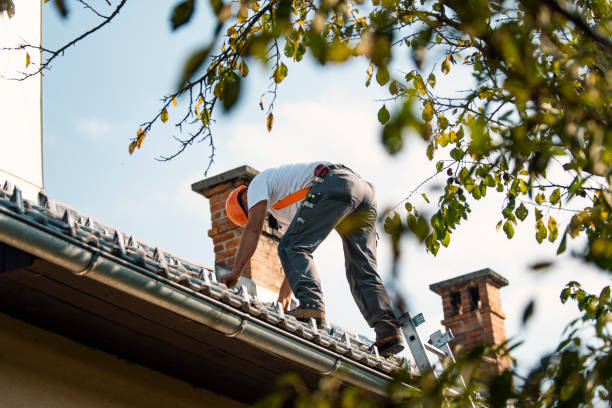 Best Storm Damage Roof Repair  in Danville, VA