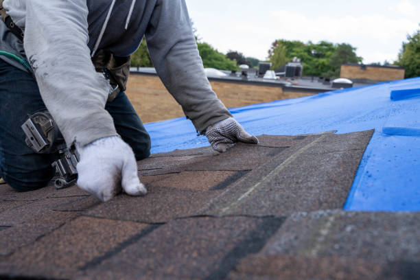 Best Roof Leak Repair  in Danville, VA