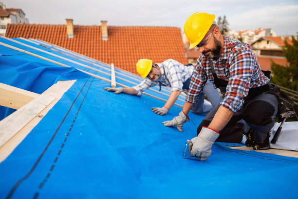 Best Local Roofing Companies  in Danville, VA