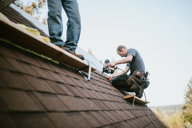 Best Affordable Roofing Company  in Danville, VA